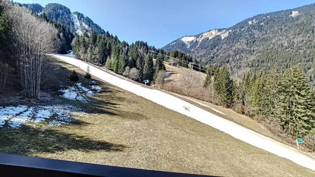 Grand Cerf 81