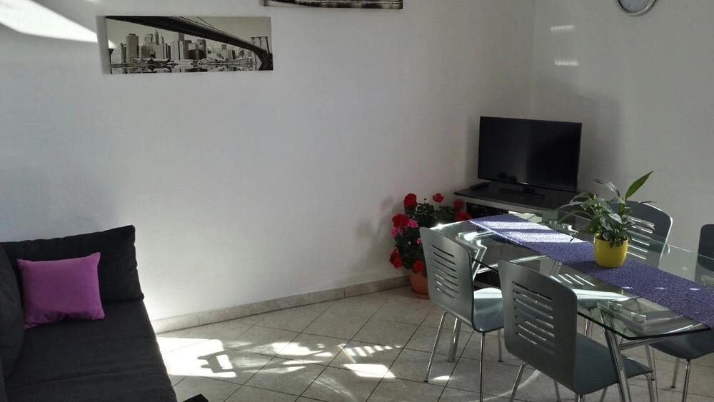 Apartments Luma