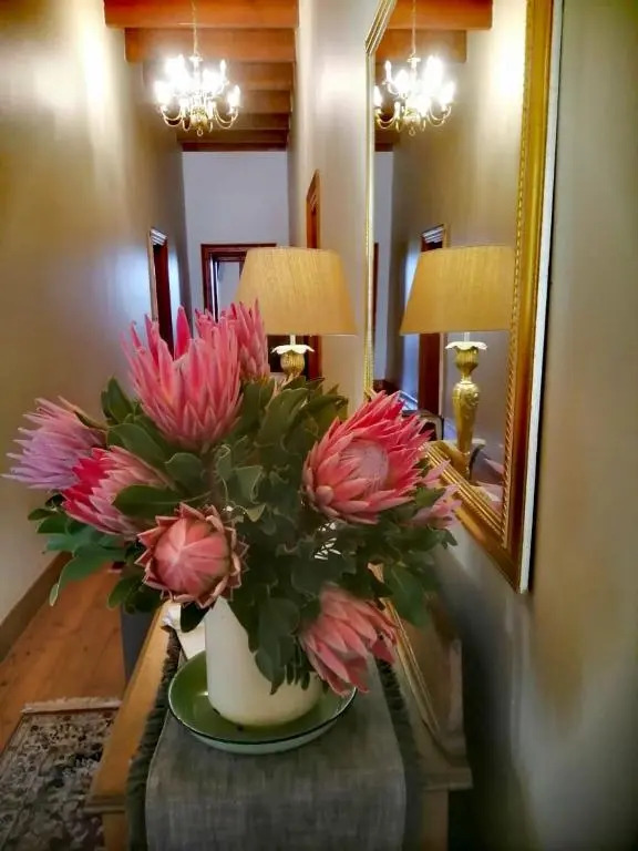 Monte Rosa Guesthouse