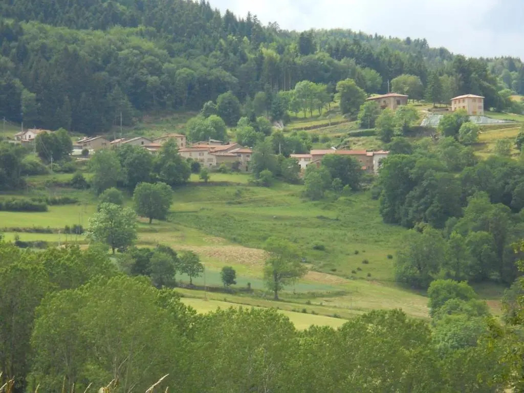 Maison avec 4 chambres et cheminée à Saint-Bonnet-le-Courreau - FR-1-496-9