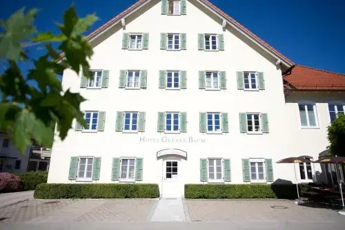 Hotel Grüner Baum