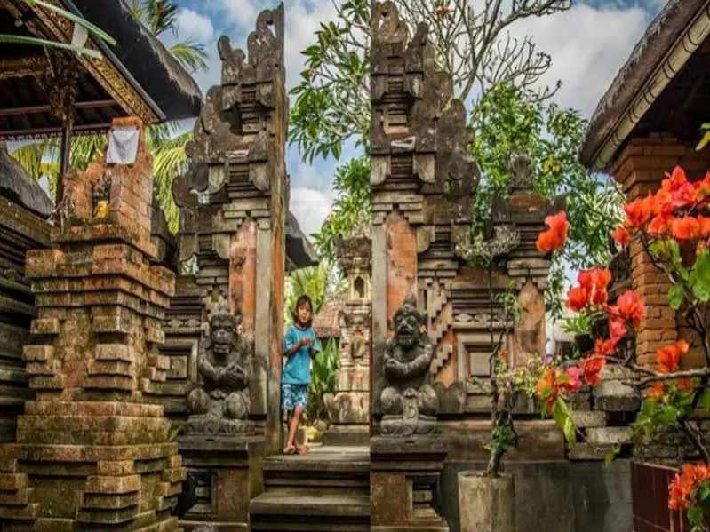Den Den Mushi Guesthouse
