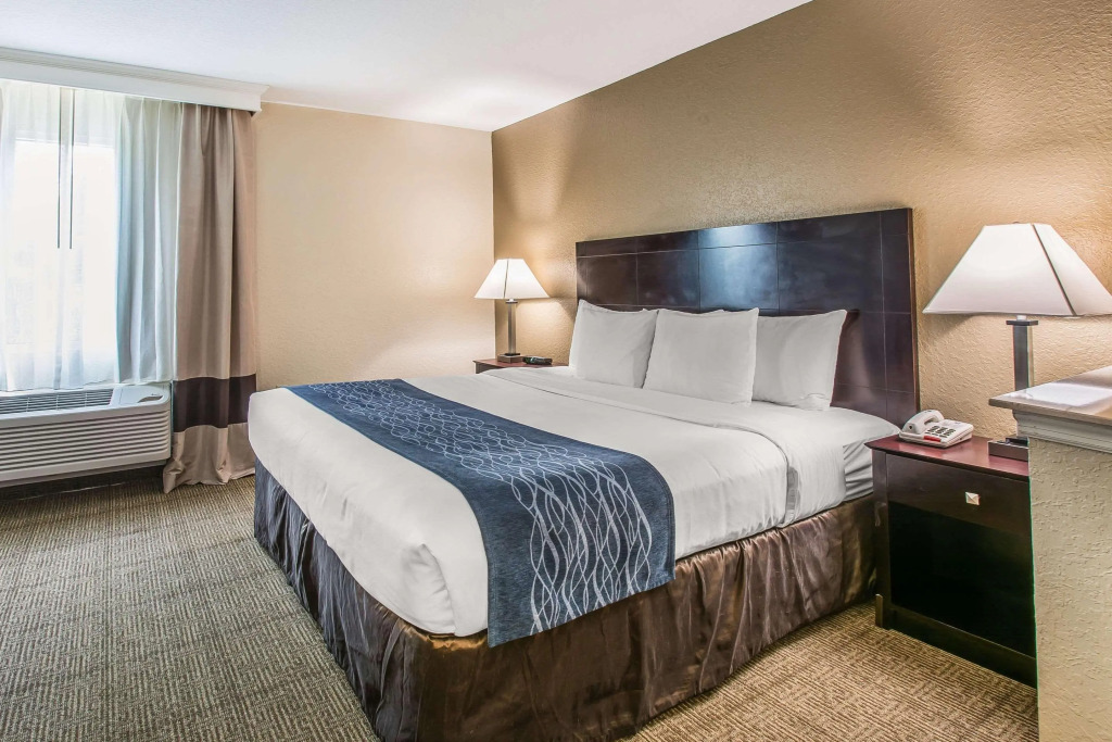 Comfort Inn & Suites DeLand - near University