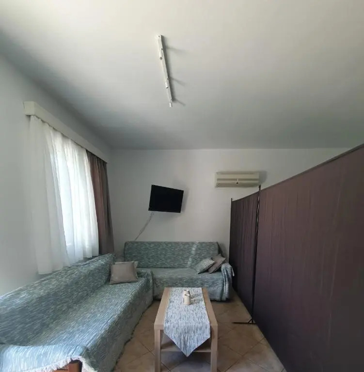 Vivis house