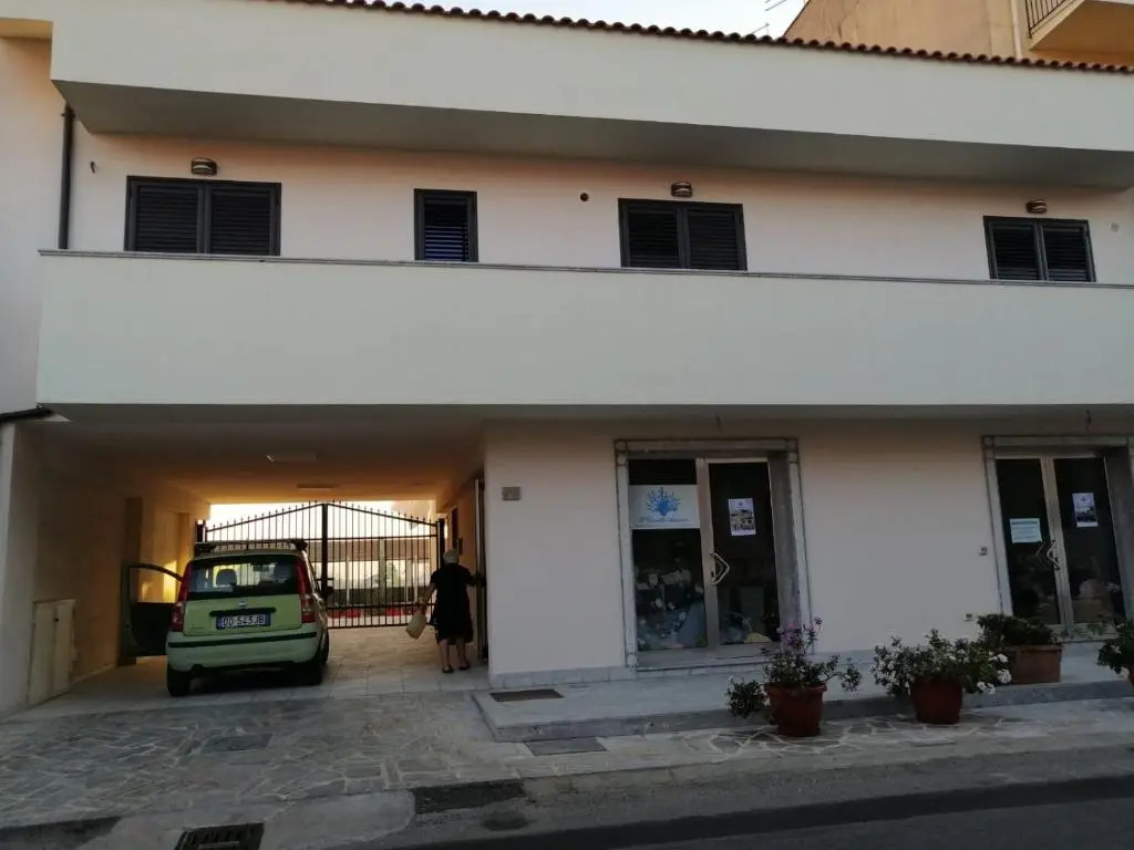 Il corallo azzurro