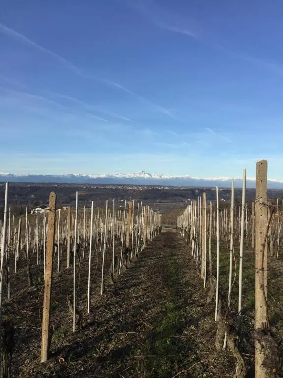 Appartamento nelle Langhe