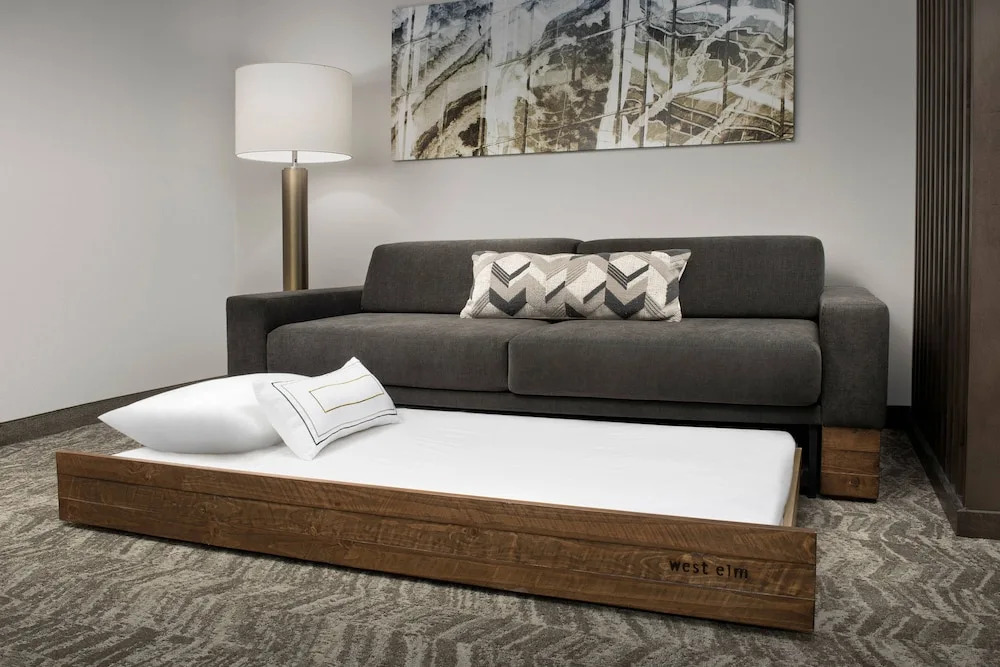 SpringHill Suites by Marriott Atlanta Perimeter Center