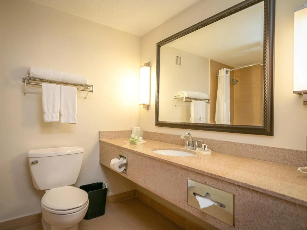 Holiday Inn Mayaguez & Tropical Casino by IHG