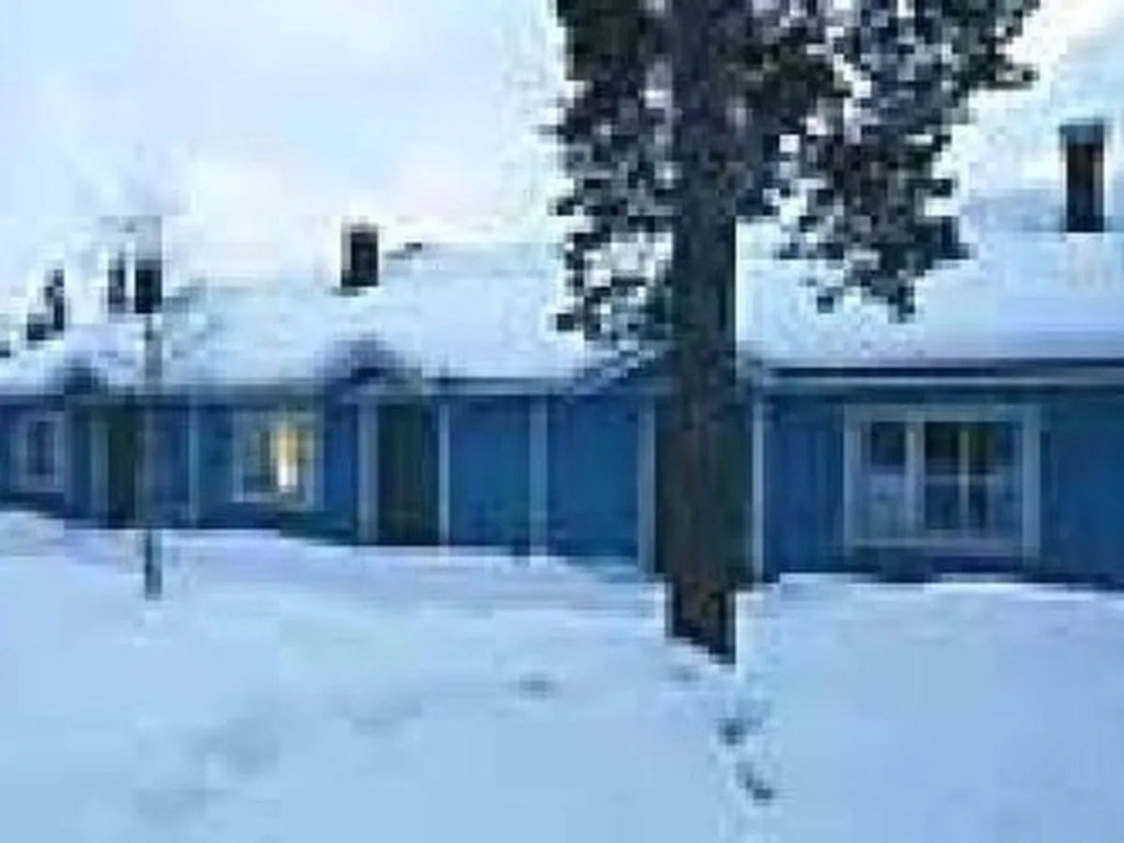 Ylläsykkönen d22