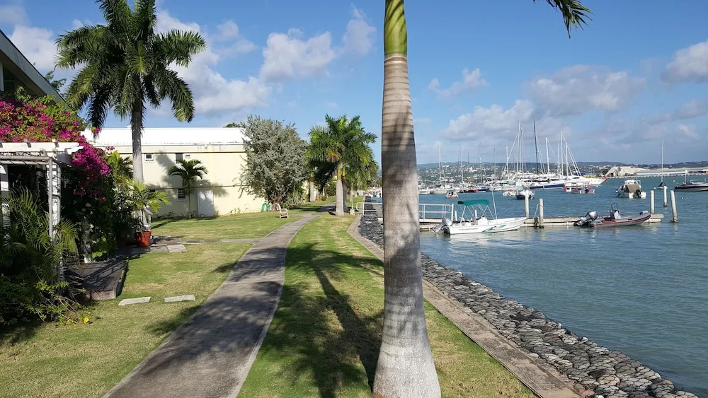 Montego Bay Palms I