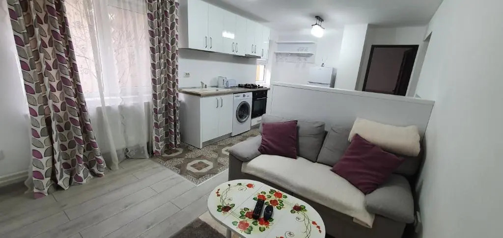 Nehoiu apartament