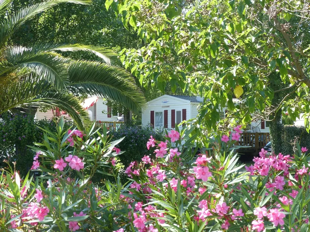 Camping Dorrondeguy