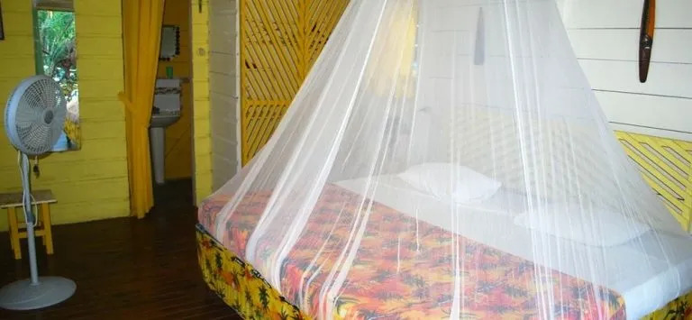 Hotel Jamaican Colors