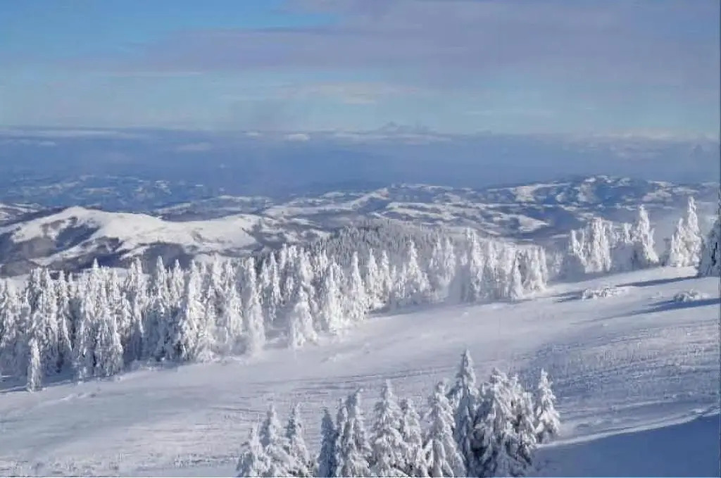 Apartment A6 Kopaonik