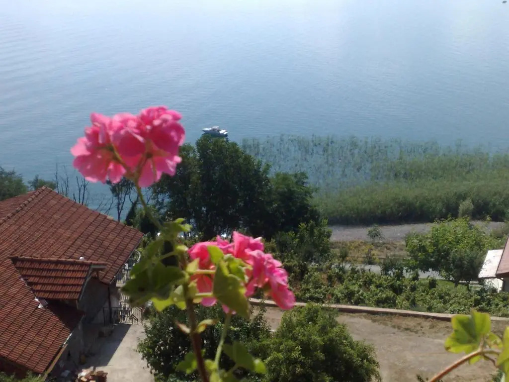 Sonce Guest House
