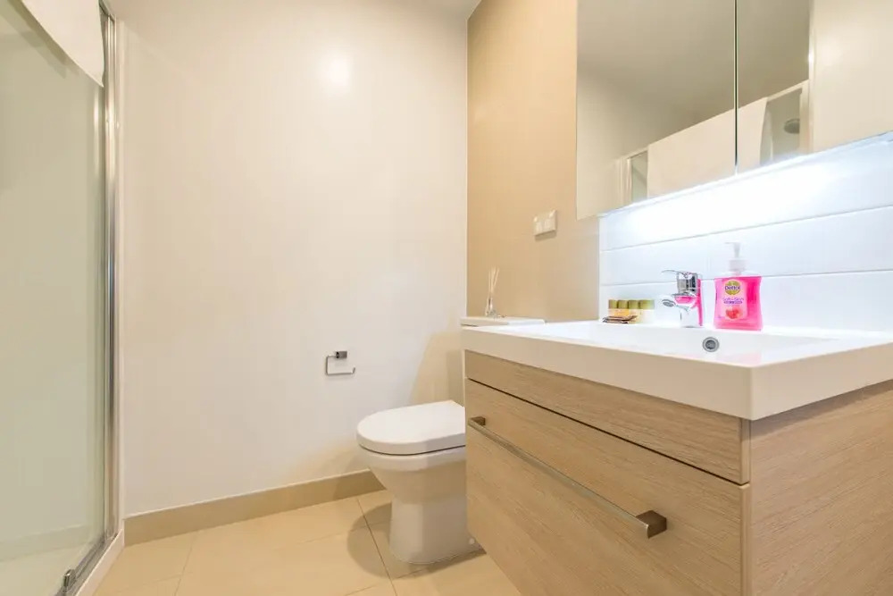 2 BRM apartment Opp to SkyTower view