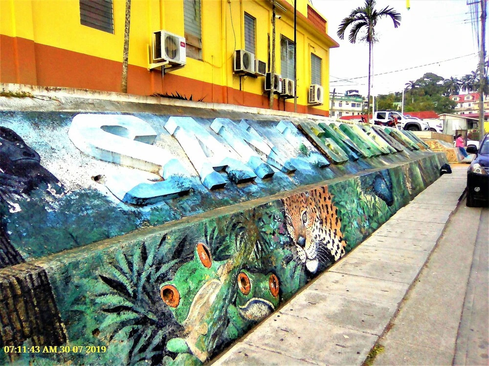 Private 2-Bedroom Jungle Cabin in Tropical Garden, San Ignacio