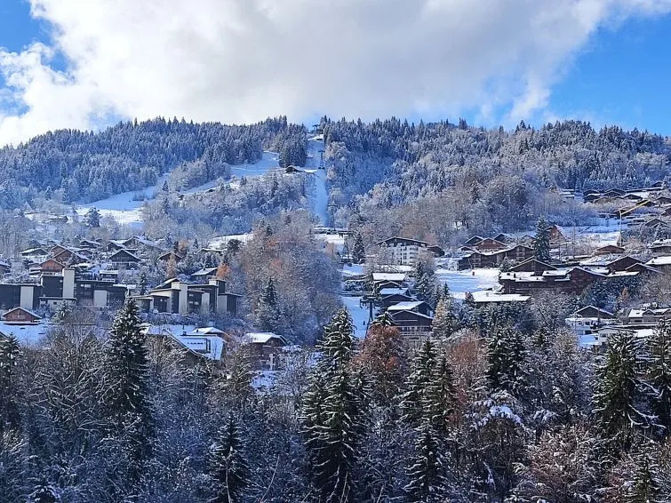 Studio Castel des Roches-2