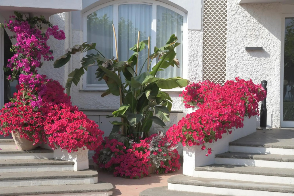 BAJAMAR BEACH HOTEL