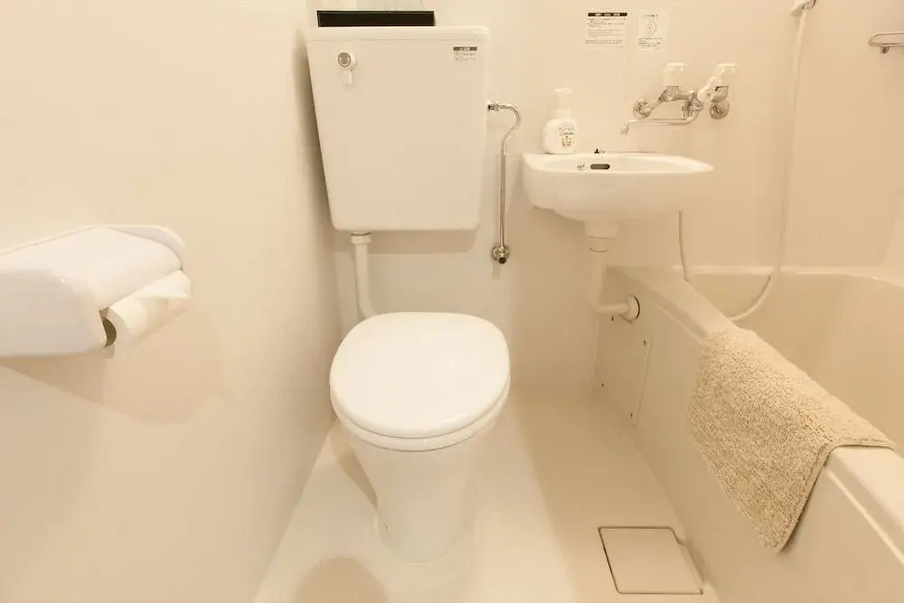 Hotel Cocoro Inn Asakusa Kuramae
