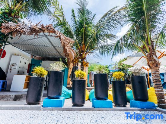 Simple Camp Vung Tau Homestay