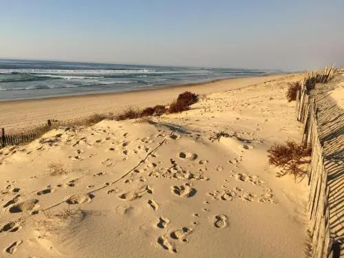 La Côte dArgent