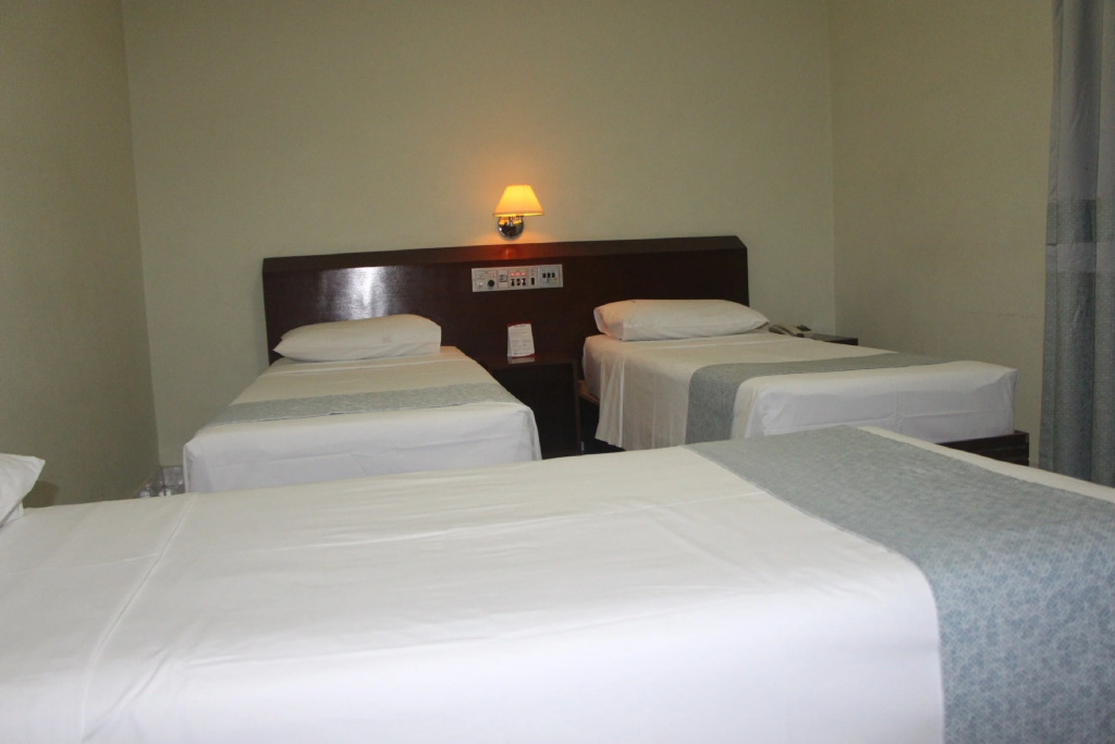 David Plaza Hotel