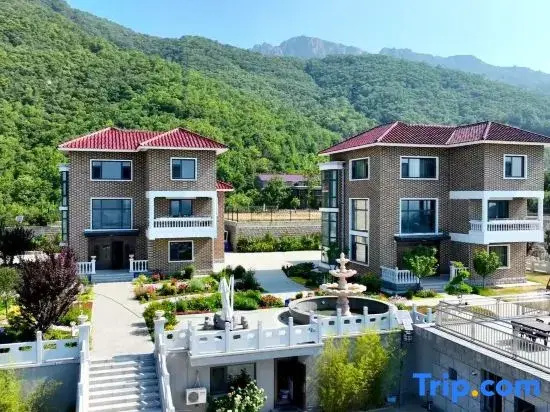 Panshan Forest Wellness Homestay