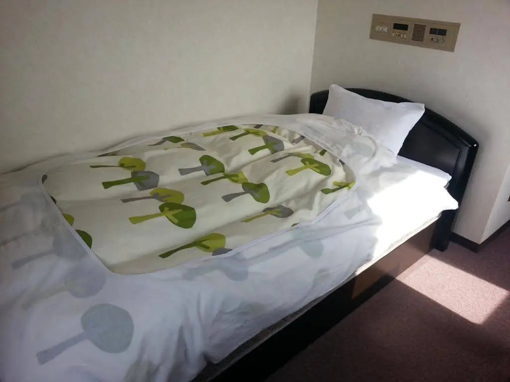 Hotel Wakasato