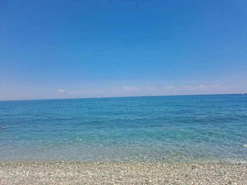 OLYMPUS Paradise 4