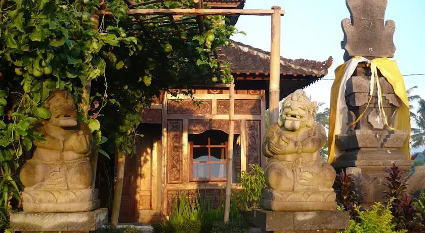 Swallow Guesthouse