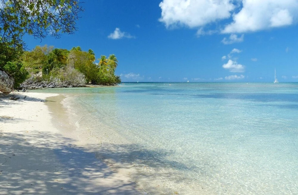 Studio in Sainte-anne, With Wonderful sea View, Enclosed Garden and Wifi