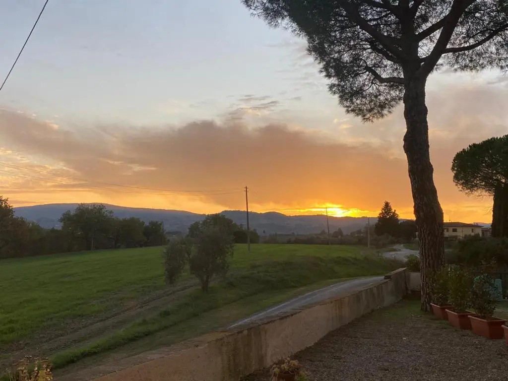 Tognazzi Casa Vacanze - La Collina di San Gimignano