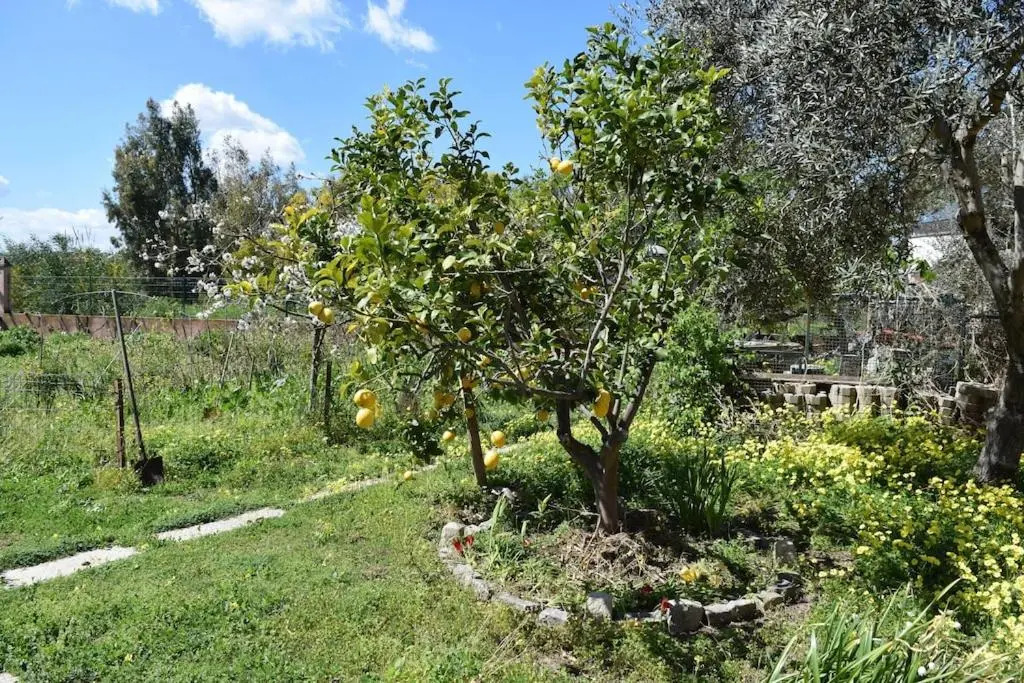 Arbatax, 200 metres from the beach: Apartment in villa with garden, 2 bedrooms