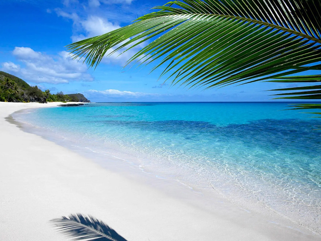 Barefoot Manta Island Resort