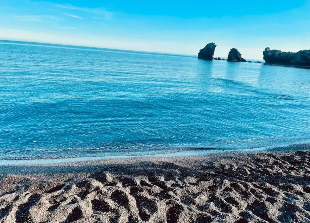 Peaceful Beachside Escape