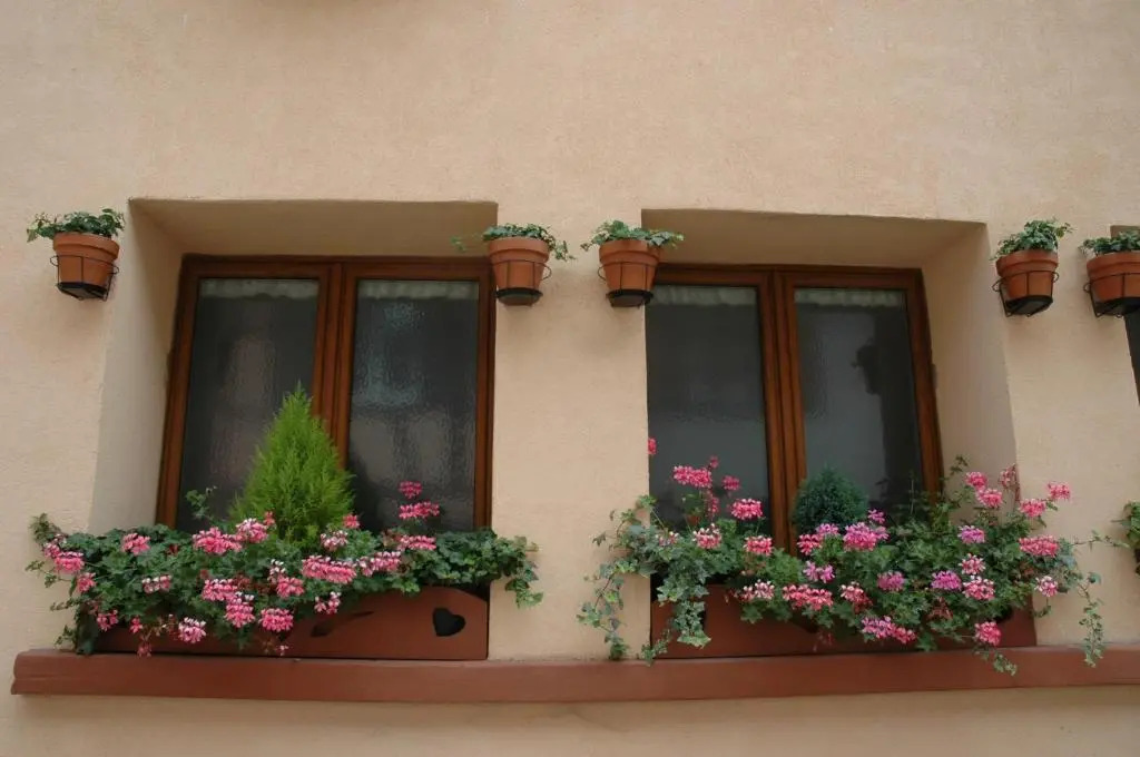 Mirabelle Bed & Breakfast