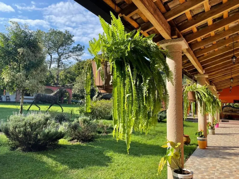Hotel Boutique Finca La Niebla