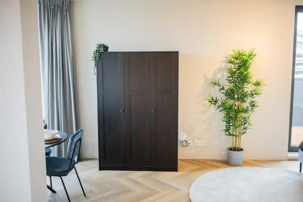 Wonderful Studio Penthouses