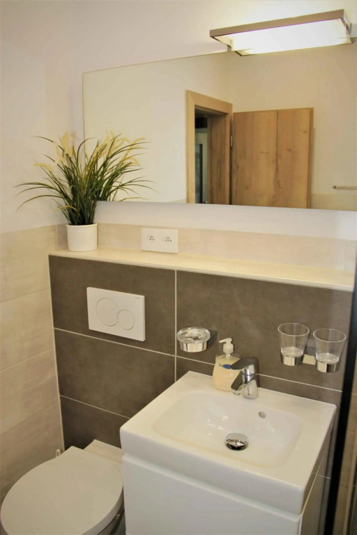 Apartment Andrea