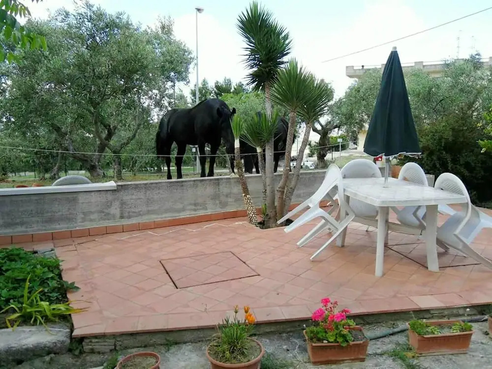 Apartment With one Bedroom in Matera, With Enclosed Garden and Wifi -