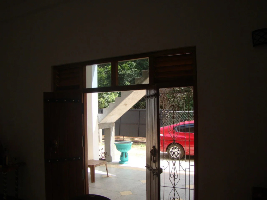 Priyanna Guest, Forest view