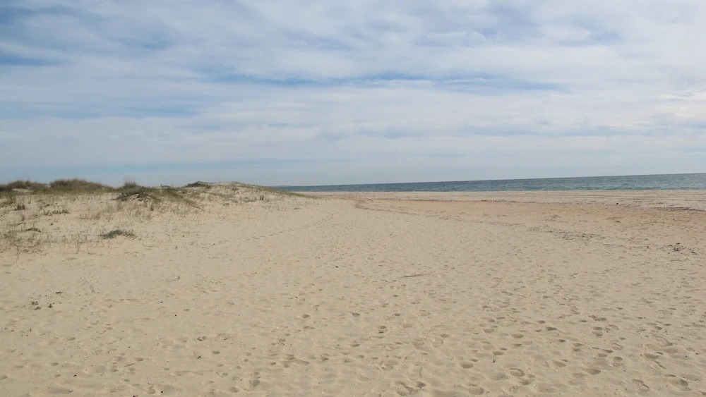 Apartment Praia Lota, w Pool, Wifi, sea View, Close to Beach, dog Friendly