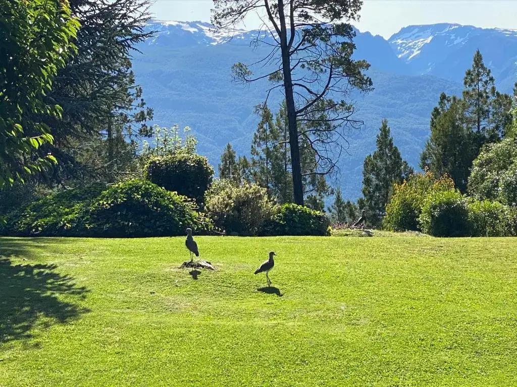 Altos del Sur Cabañas de Montaña