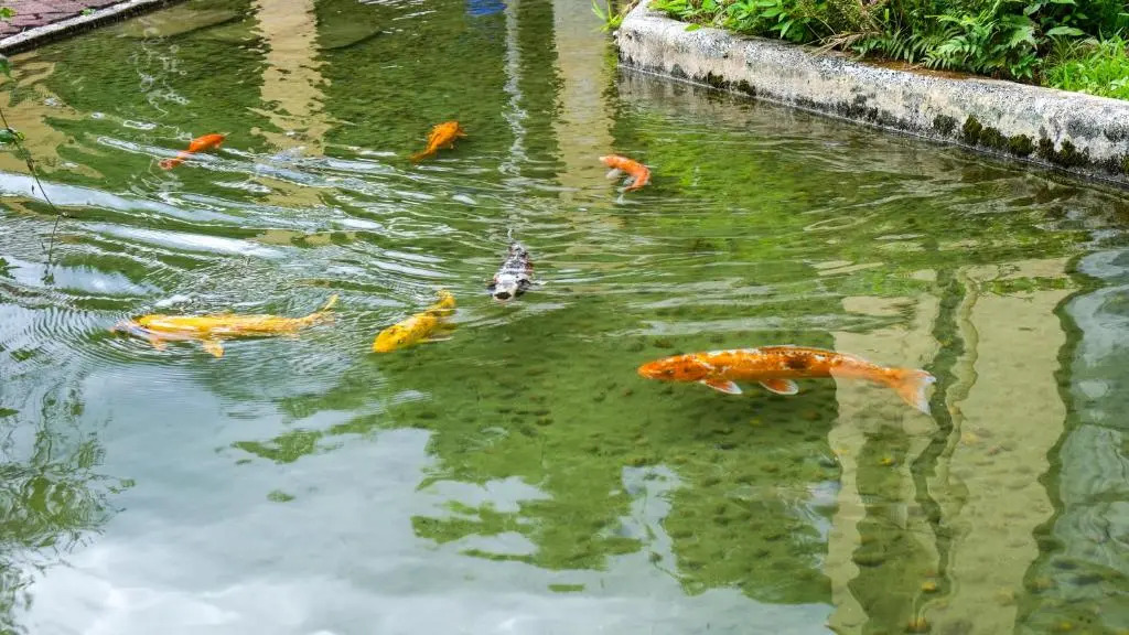 Koi Lake Hotel