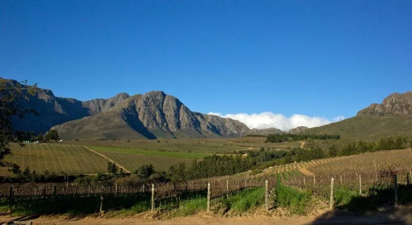 Mountain Cottages at Haskell Vineyard