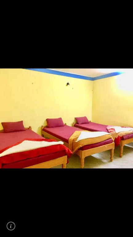 Sachi Home