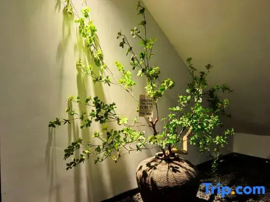 Suhe Xiaozhu · Encounter Riverside Boutique Homestay