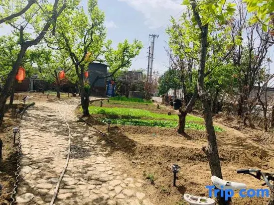 Beijing Xiaohui Homestay