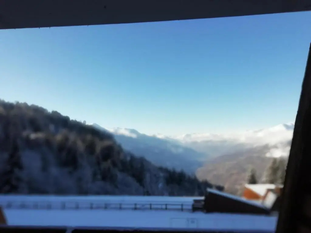 Appartement Les Arcs 1600, 1 pièce, 4 personnes - FR-1-411-625
